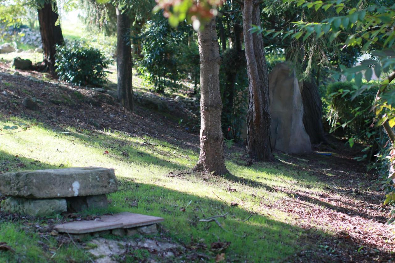 Apartment Garden Rock Santillana del Mar